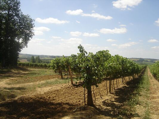 DOMAINE DE ROME