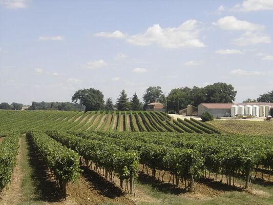 DOMAINE DE ROME