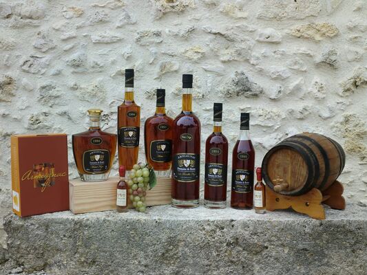 Armagnacs Ténarèze