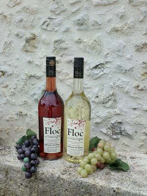Floc de Gascogne