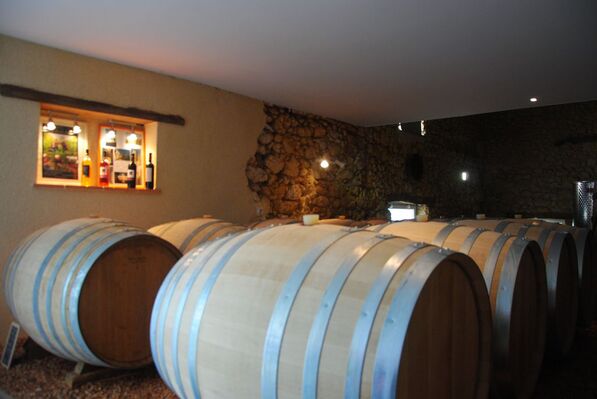 Chai de vins