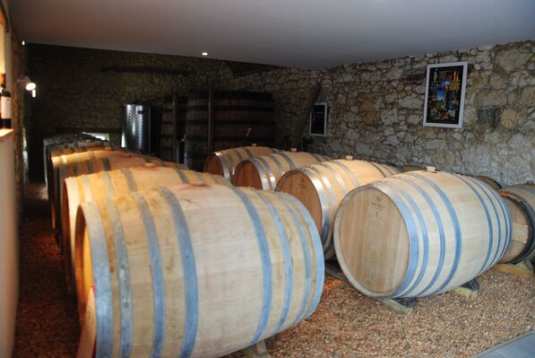 Visite des chais