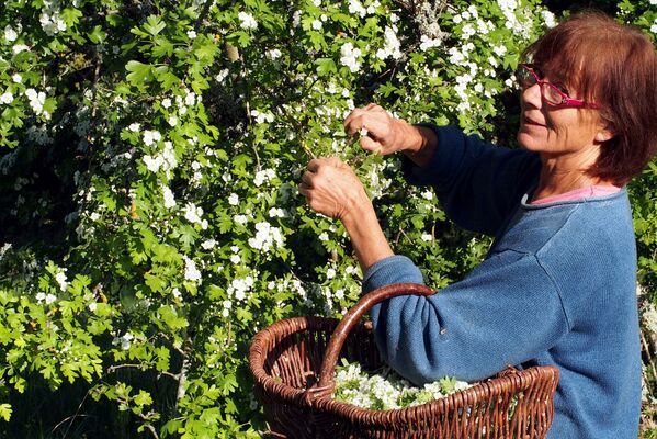 AUX EVEQUES GOURMANDS