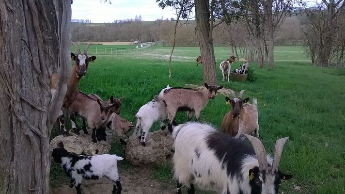FERME DU GALAUZOUE