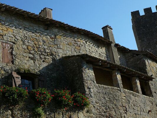 VISITE GUIDEE FAMILLE DE LARRESSINGLE