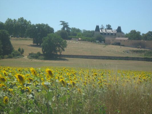 VUE SUR LE CAMPING