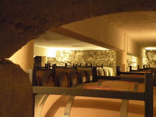 Visite des chais