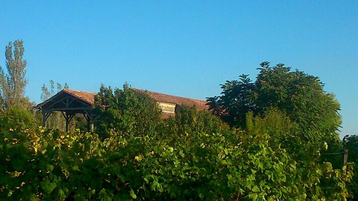 DOMAINE DE POUYPARDIN