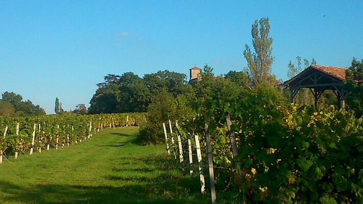 DOMAINE DE POUYPARDIN