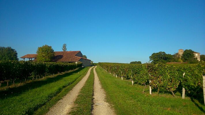 DOMAINE DE POUYPARDIN