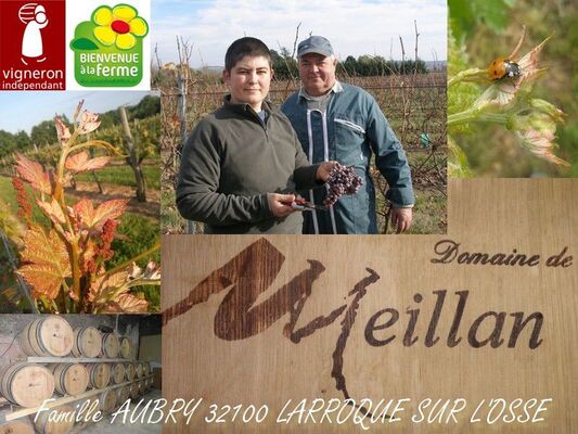 Domaine de Meillan à Larroque sur l'Osse