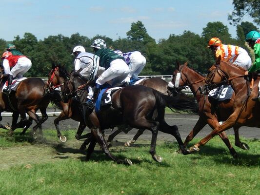 HIPPODROME DE BARON