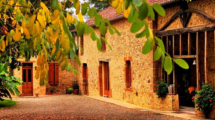 Vignoble Armagnac Gascogne