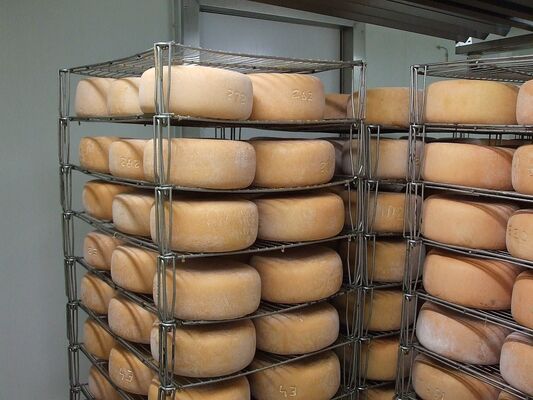 Fromage de brebis au lait cru