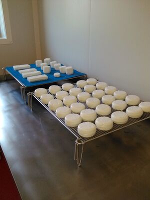 Fromage de brebis