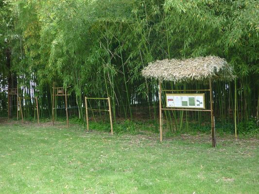LABYRINTHE DE BAMBOUS