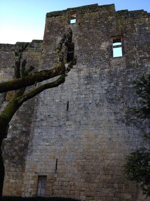 OFFICE DE TOURISME DE LARRESSINGLE