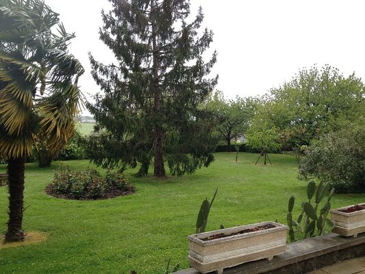 Parc arboré