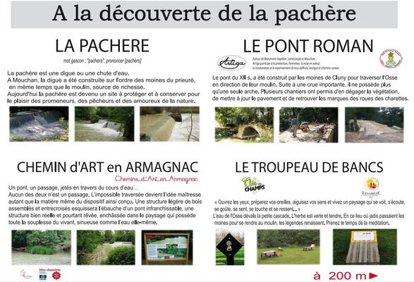 Pachère de Mouchan