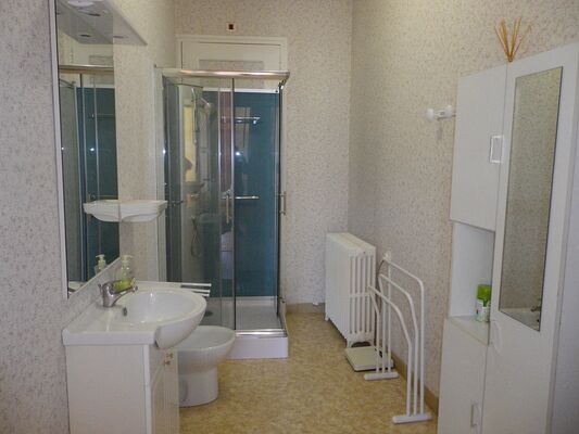 Grande salle d'eau avec douche