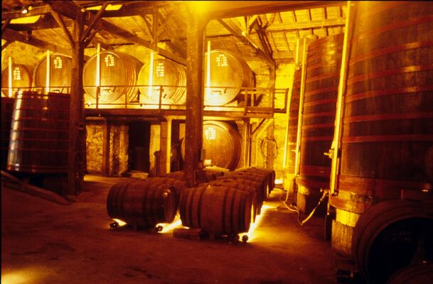 Visite du chai d'armagnac