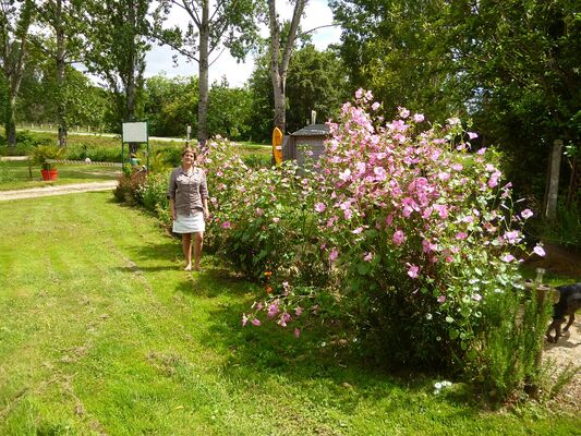 CAMPING LE MOULIAT