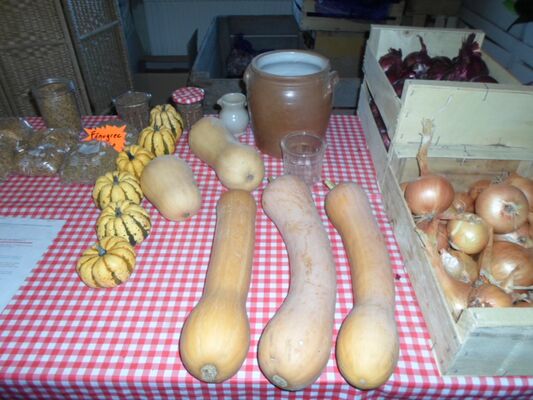 LA BOUTIQUE A CHRISTINE