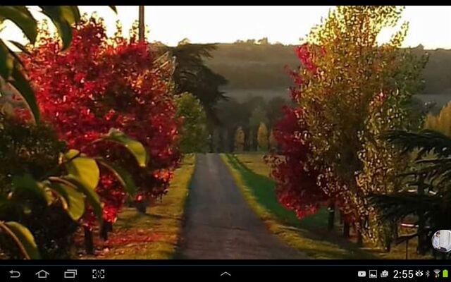 Location dans le Gers