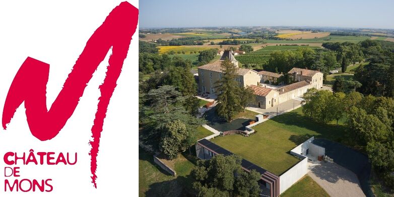 CHATEAU DE MONS