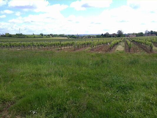 BERDALE