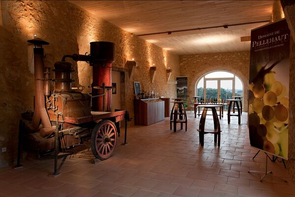 CHATEAU DE PELLEHAUT