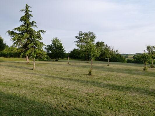 Parc arboré