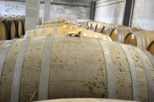 Visite des chais du Domaine de Labrit
