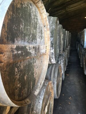 Visite des chais d'armagnac Ténarèze