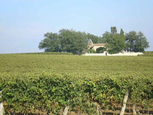 ÉGLISE DANS LE VIGNOBLE