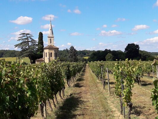 Vignes gourmandes et pierres secrètes