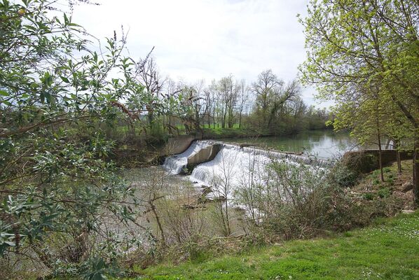 Le long de la Save