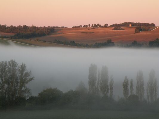Domaine de Gensac, Condom, Gers