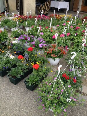 Marché aux fleurs de Fourcès, Gers