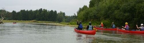 canoê