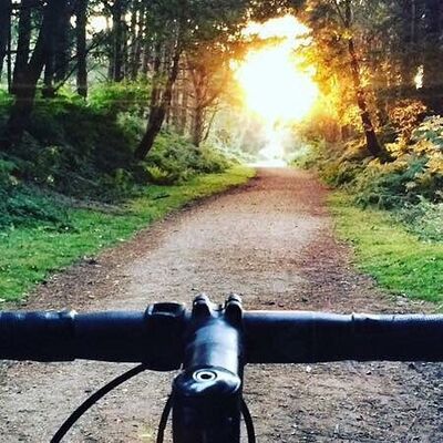 Gascogne Bike Hire