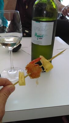 Domaine de Magnaut