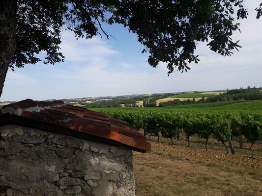 La cabane de Lian à Gondrin