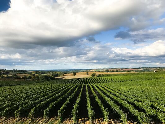 Domaine de la Poste