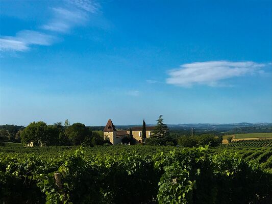 Vignoble Armagnac Gascogne - Domaine de la Poste