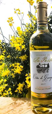 Domaine viticole de la Poste à Condom