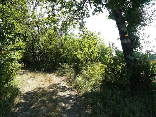 Petite randonnée dans la campagne gersoise