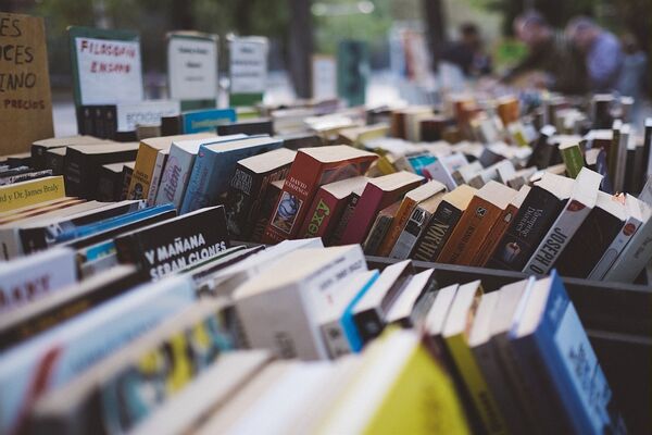 FOIRE AUX LIVRES