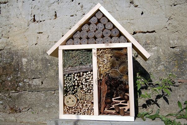 Hôtel à insectes