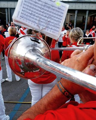 Festival Européen de Bandas en Occitanie